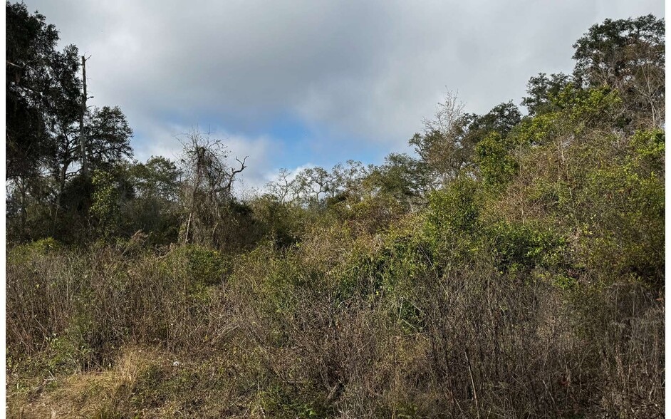 More Photos Of TBD 59th Dr, Wellborn Land For Sale