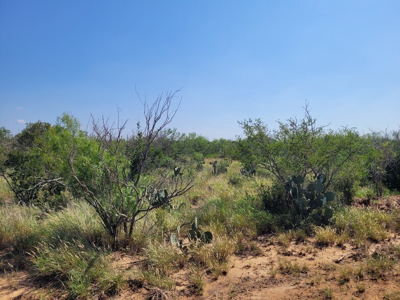 More Photos Of , Laredo Land For Sale
