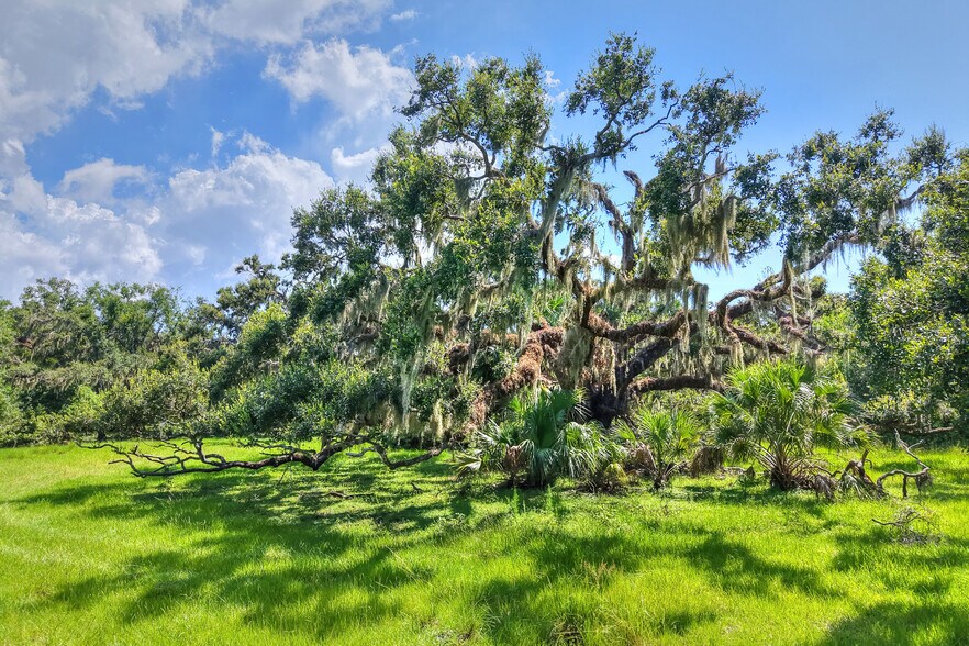 More Photos Of 6838 Mary Lou Dr, Riverview Land For Sale