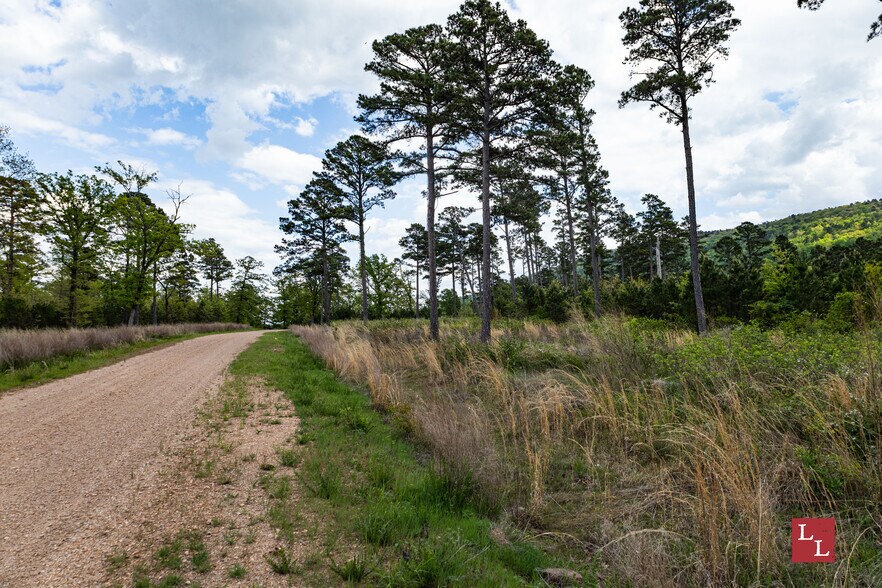 Primary Photo Of State Highway 43, Clayton Land For Sale