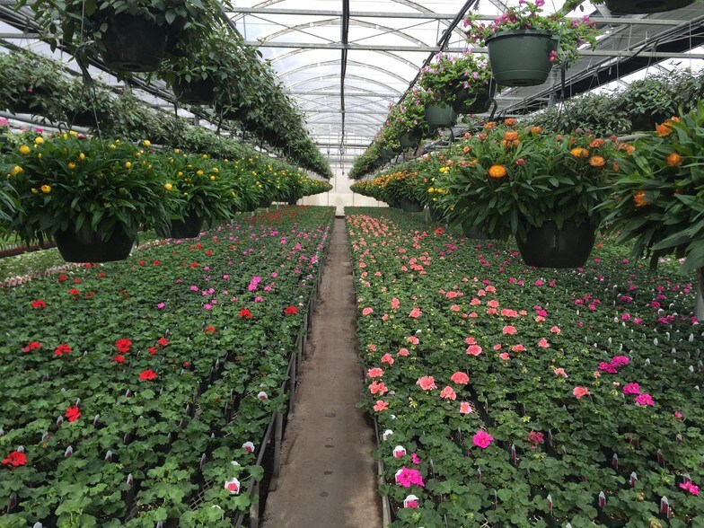 More Photos Of 609-621 E Maple Ave, Newark Light Manufacturing For Lease