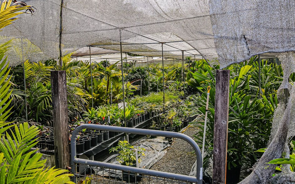 More Photos Of 27-2760 Hawaii Belt Rd, Pepeekeo Land For Sale