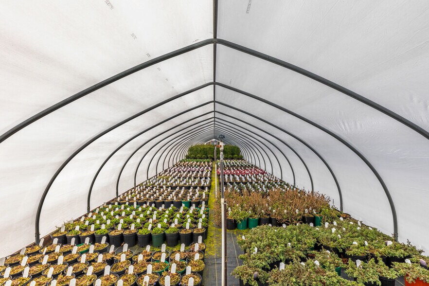 More Photos Of 185 N Country Rd, Mount Sinai Garden Center For Sale