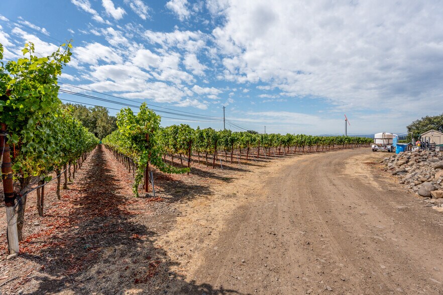 More Photos Of 3340 Lichau Rd, Penngrove Land For Sale