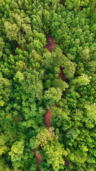 More Photos Of 00 221 Highway South Hwy, Laurens Land For Sale