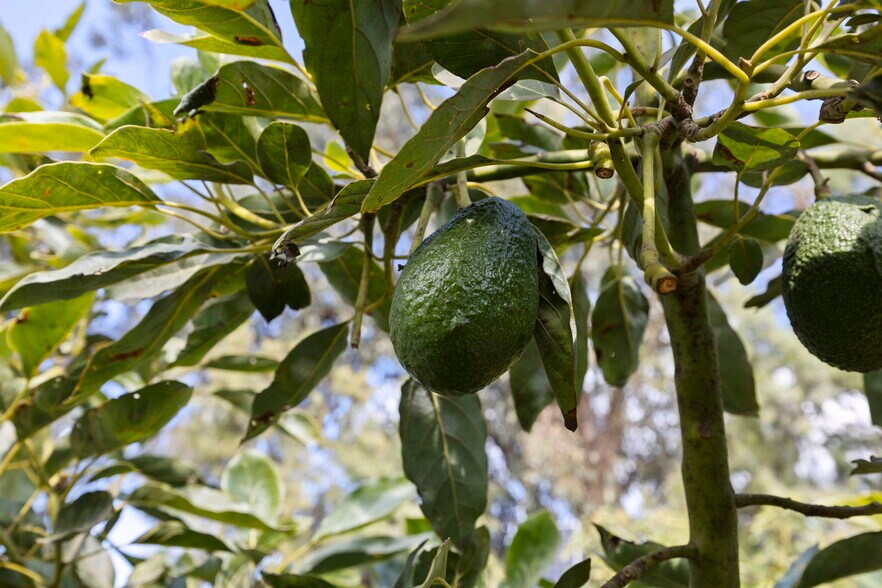 More Photos Of 0 Laguna Rd., Oxnard Land For Sale