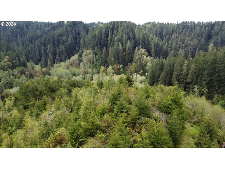More Photos Of 18-10-00-00-01300500, Mapleton Land For Sale