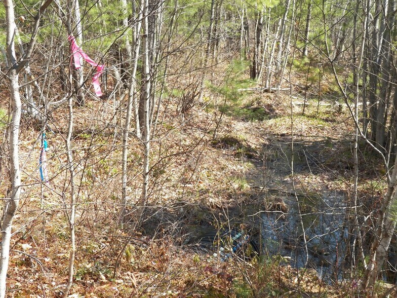 More Photos Of 988 Dover Rd, Epsom Land For Sale