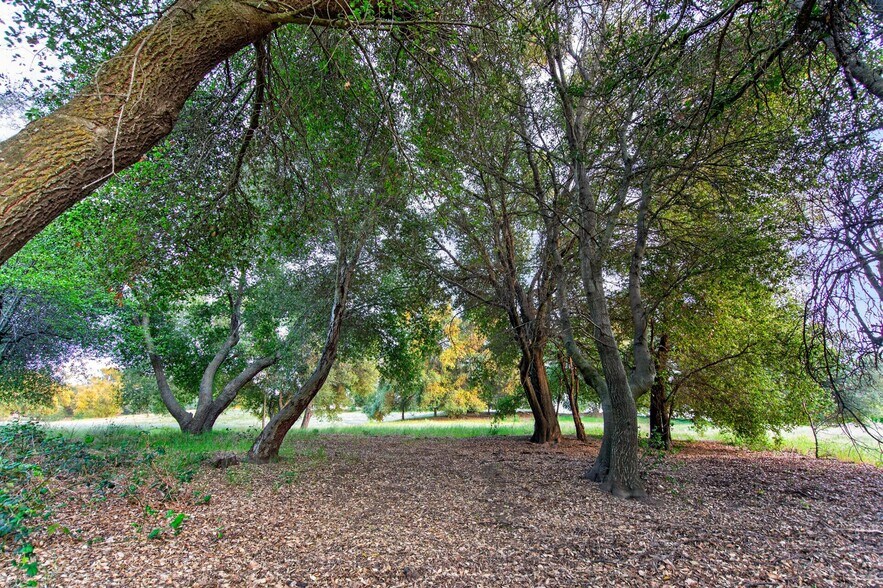 More Photos Of 25350 Mesa Grande Rd, Santa Ysabel Land For Sale