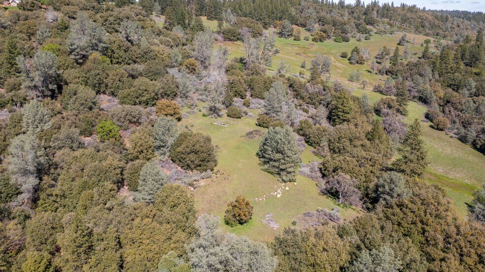 More Photos Of 18800 Charleston Rd, Volcano Land For Sale