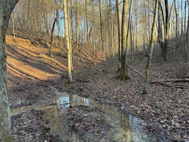 More Photos Of 260 Arnold Rd NE, Fairmount Land For Sale