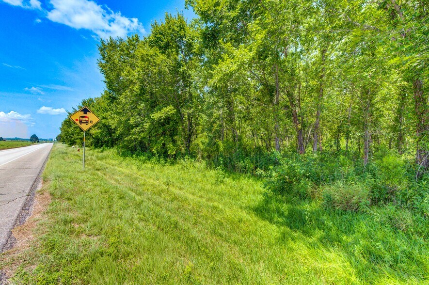 More Photos Of 0 Hwy 35 - CR 133 - 19.07ac, Alvin Land For Sale