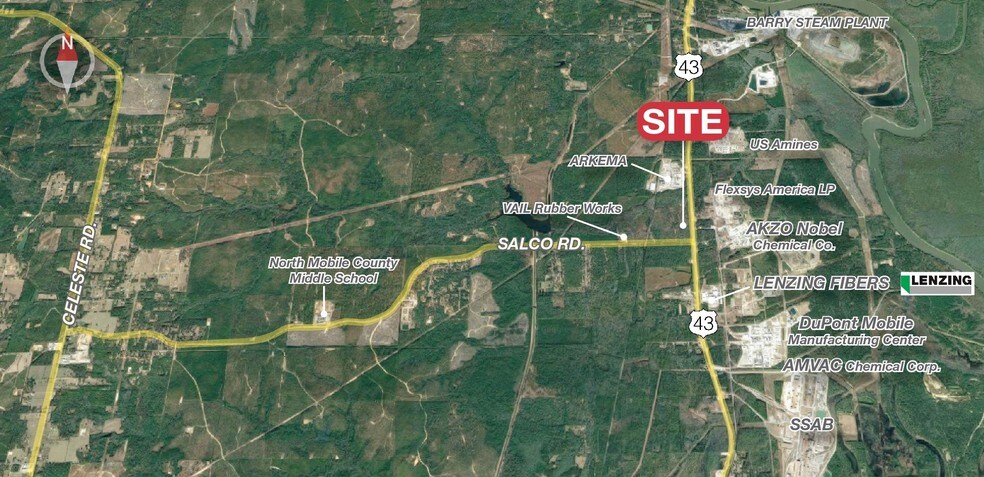 More Photos Of NW US Hwy 43 & Salco Rd, Creola Land For Sale