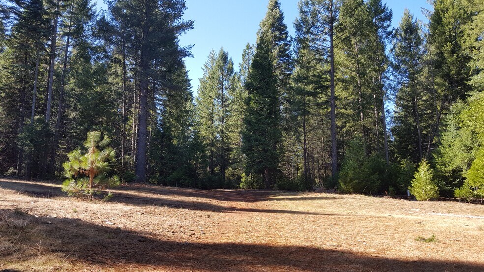 More Photos Of Winding Way, Grizzly Flats Land For Sale