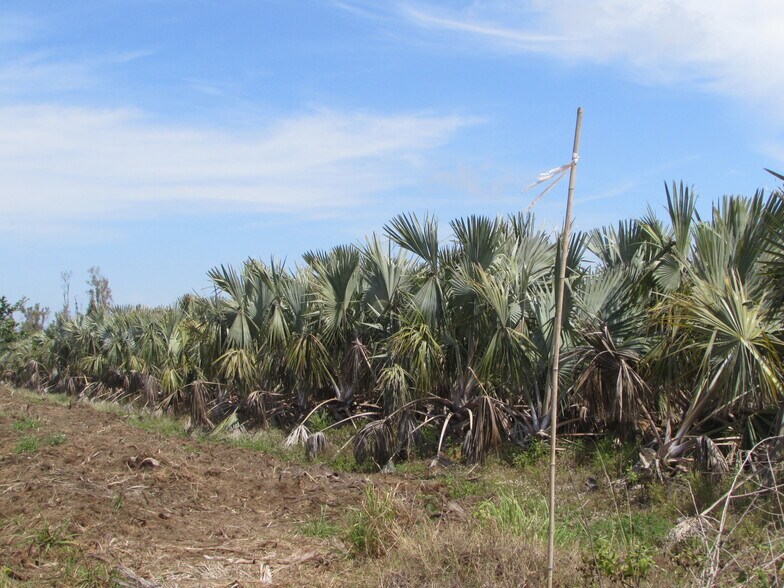 More Photos Of H. Stringfellow, Bokeelia Land For Sale