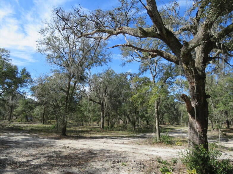 More Photos Of 9570 NE 35th st, Bronson Land For Sale