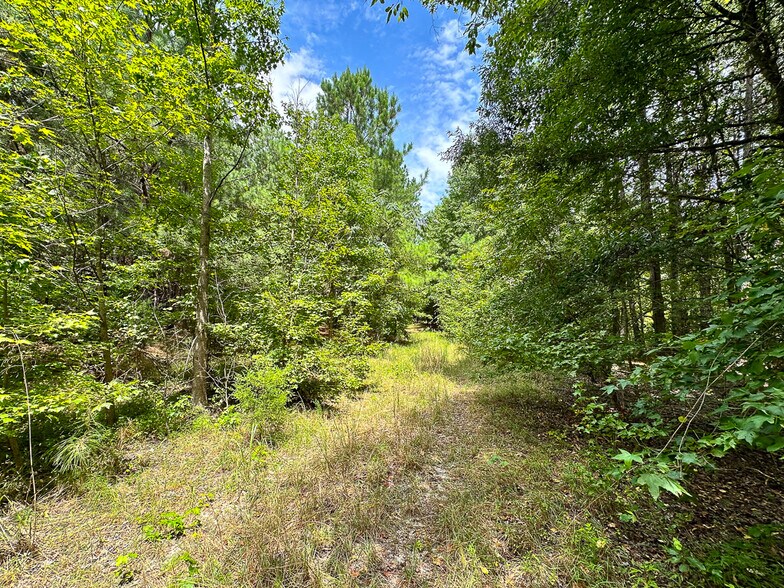More Photos Of US 401 S Hwy, Youngsville Land For Sale