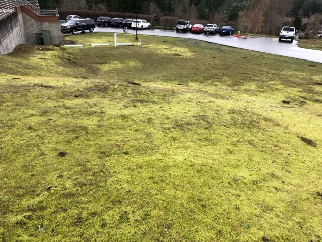 More Photos Of 0 Pottery Ave, Port Orchard Land For Sale