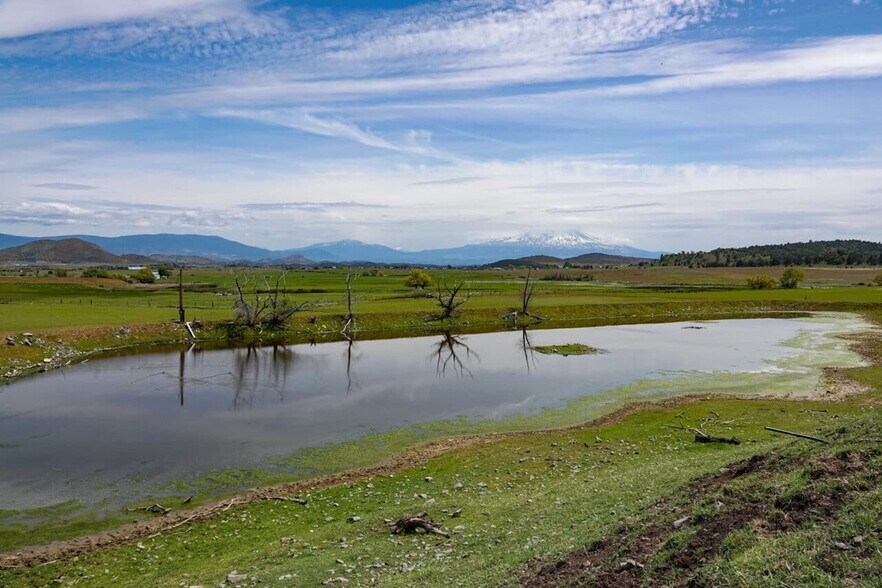 More Photos Of 1834 E. State 3 Hwy, Montague Land For Sale