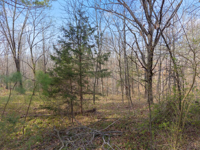 More Photos Of Nairn Cir, Bella Vista Land For Sale