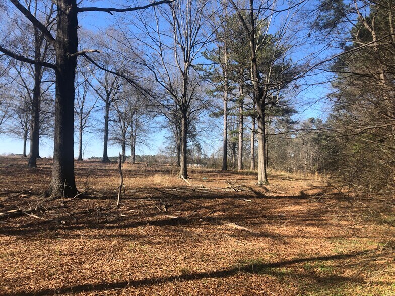 More Photos Of 59 Bear Creek Rd, Hampton Land For Sale