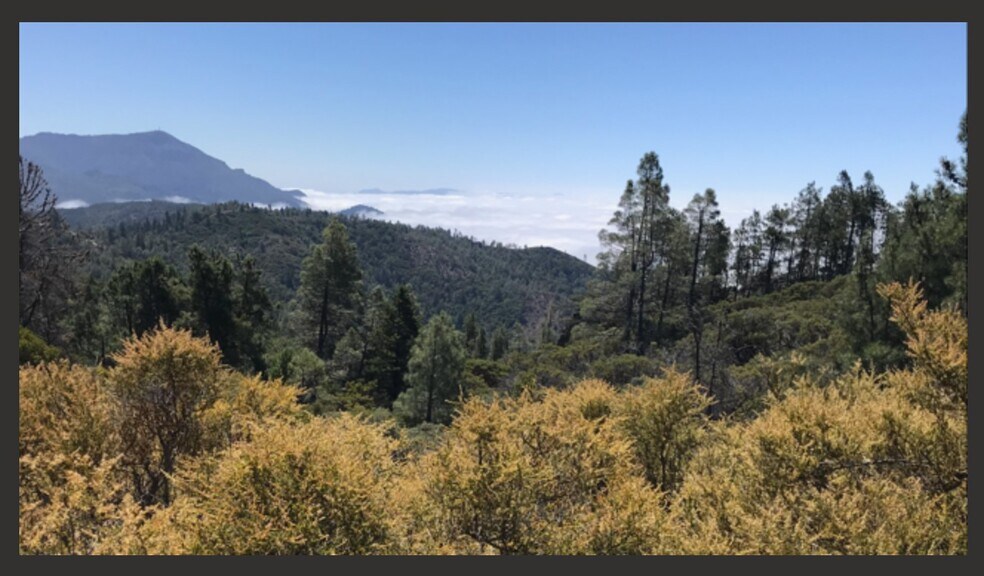 More Photos Of 0 Pine Flat Rd, Healdsburg Land For Sale
