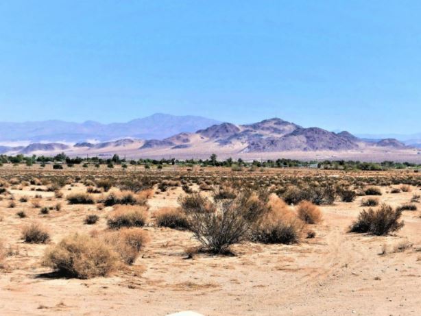 More Photos Of E Dolphin Ave, Ridgecrest Land For Sale