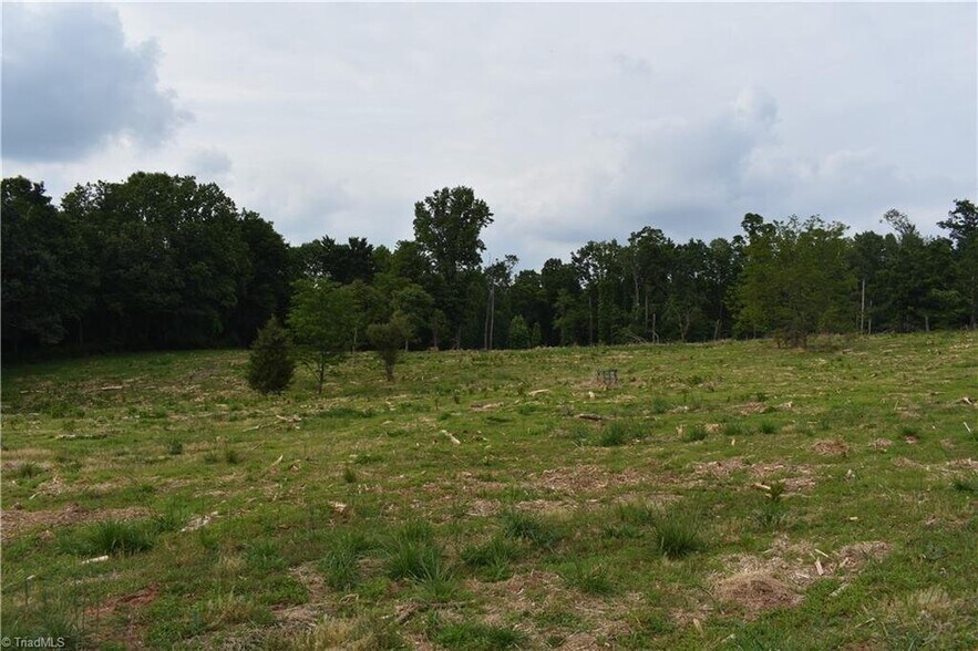 More Photos Of 00 Grassy Fork Lane, Elkin Land For Sale