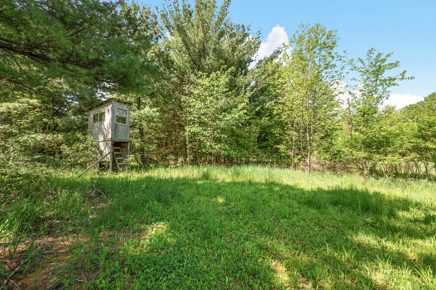 More Photos Of V/L 220th Ave, Big Rapids Land For Sale