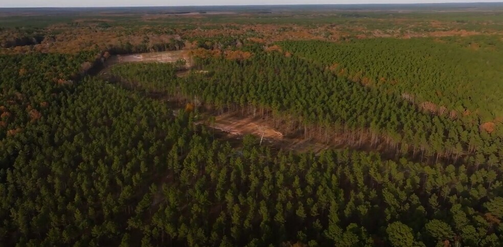 Primary Photo Of 480 Martin Rd, Cotton Valley Land For Sale