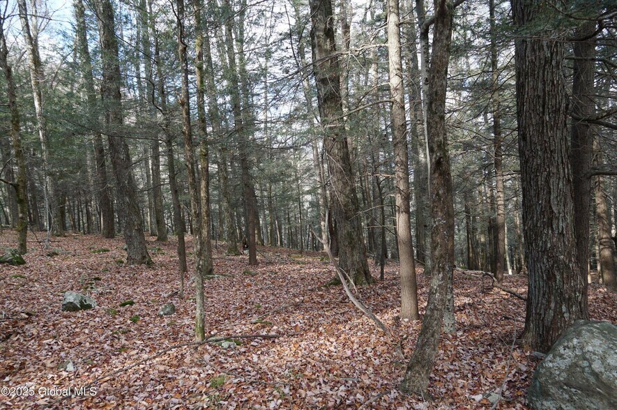 More Photos Of Mt Eden Estates Rd, Lexington Land For Sale