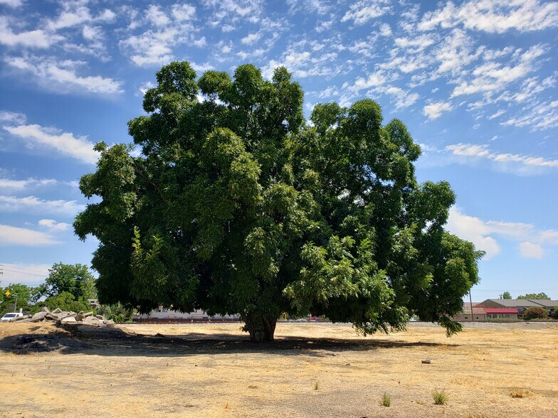 Primary Photo Of 3740 Walnut Blvd, Brentwood Land For Sale