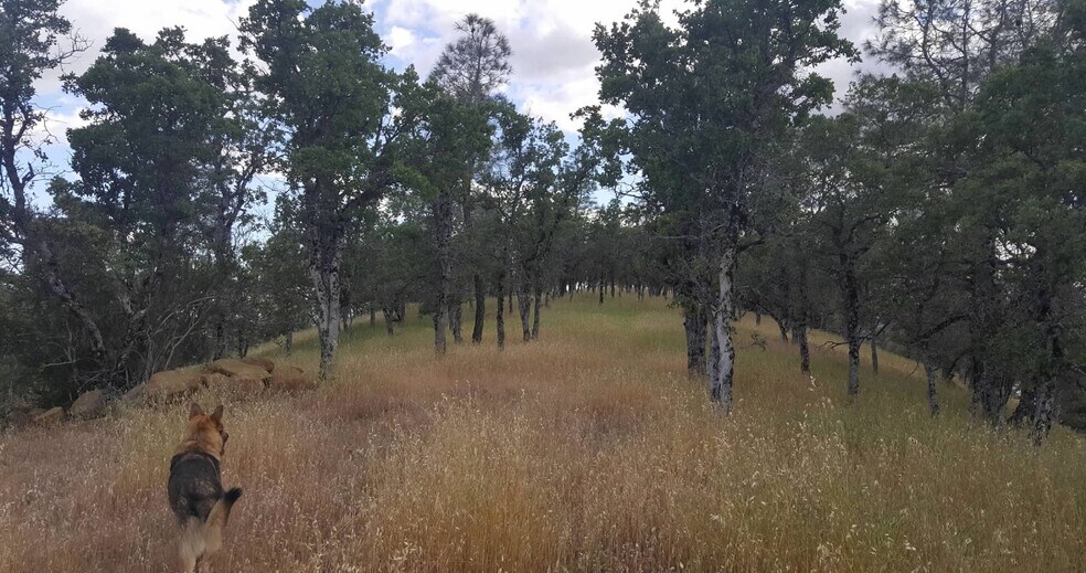 More Photos Of Campground Rd, Stonyford Land For Lease