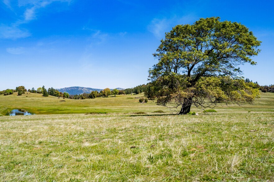 More Photos Of 3510 Deer Lake Park Road, Julian, CA 92036, USA -1, Julian Land For Sale