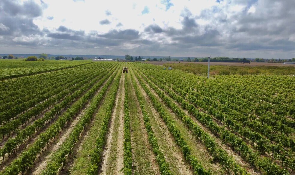 More Photos Of 1811 Niagara Stone Rd, Niagara-On-The-Lake Winery Vineyard For Sale