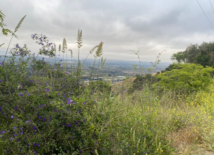 More Photos Of 7979 Worth Way, Camarillo Land For Lease