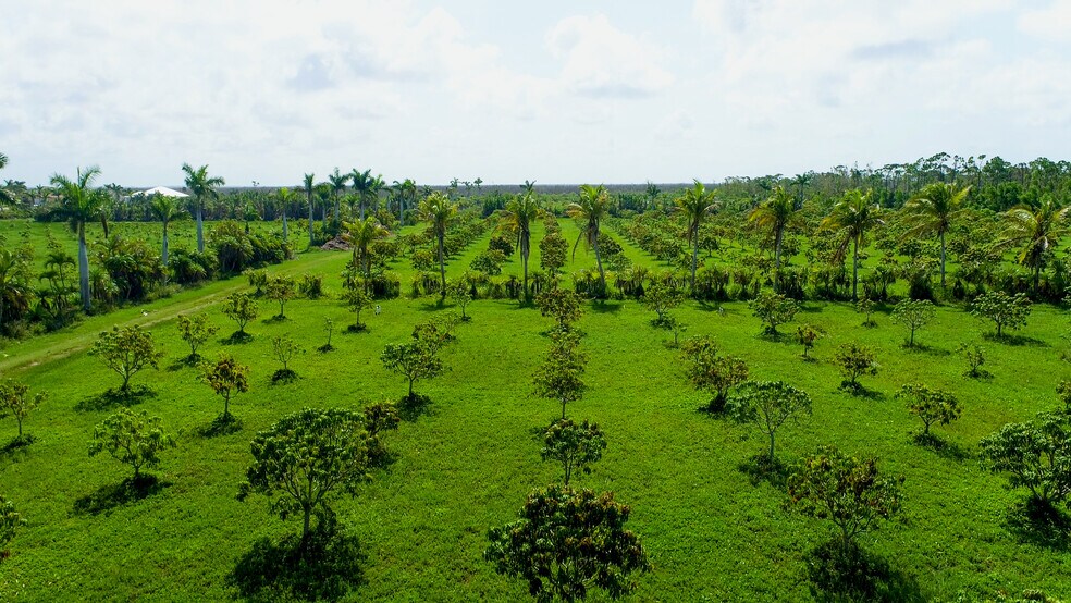 More Photos Of 9000 Stringfellow Rd, Saint James City Land For Sale