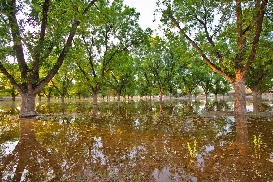 More Photos Of 7003 McNutt Rd, Anthony Land For Sale