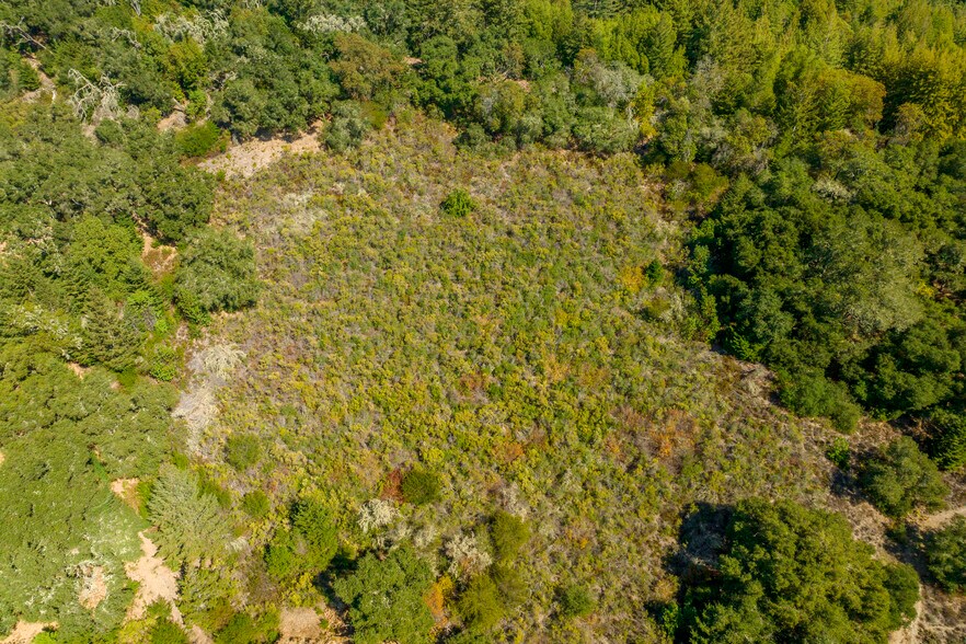 More Photos Of 2372 McKenzie Creek rd, Scotts Valley Land For Sale