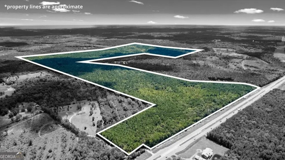 More Photos Of 262.44 AC Leroy Coffer hwy, Fleming Land For Sale