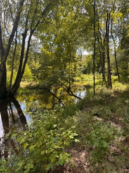 More Photos Of 333 Samuel Dr, Springfield Land For Sale