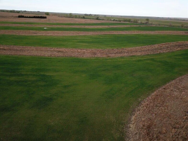 More Photos Of , Damar Land For Sale