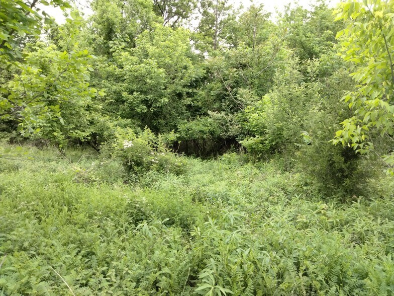 More Photos Of 0 Rt 100, Bechtelsville Land For Sale