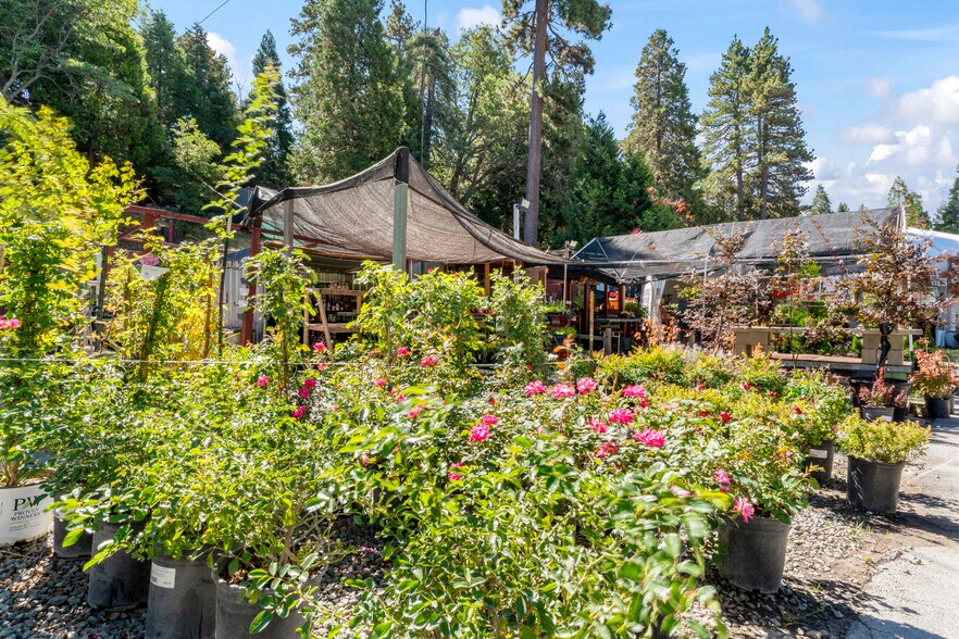 More Photos Of 303 CA-173 Hwy, Lake Arrowhead Garden Center For Sale
