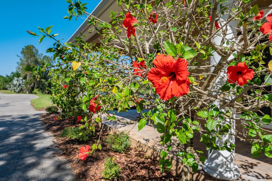 More Photos Of 701 E State Road 60, Plant City Land For Sale