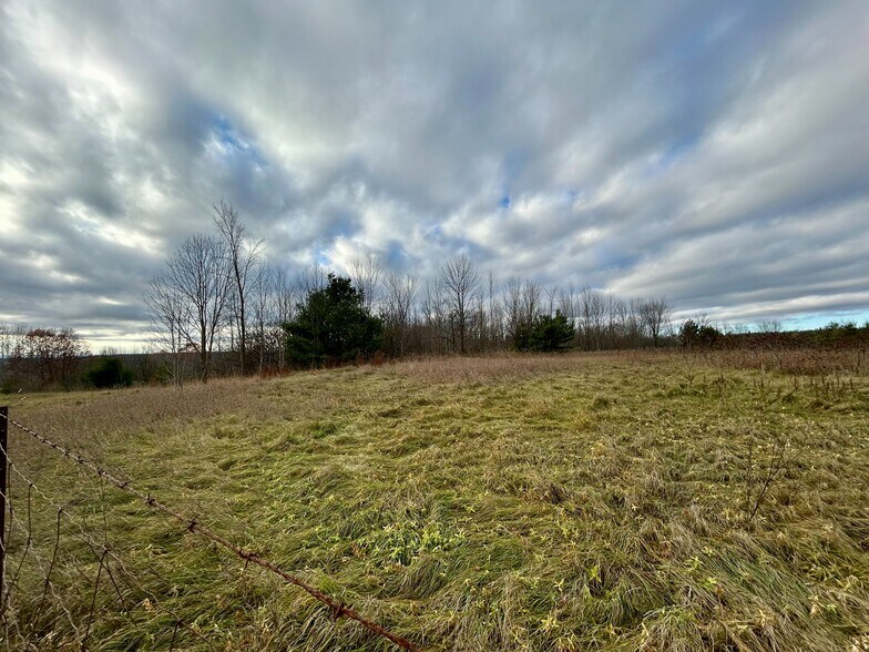 More Photos Of 4056 Horseshoe Valley Rd W, Minesing Land For Sale
