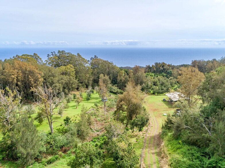More Photos Of 47-4630 Mauka Cane Haul Rd, Honokaa Land For Sale