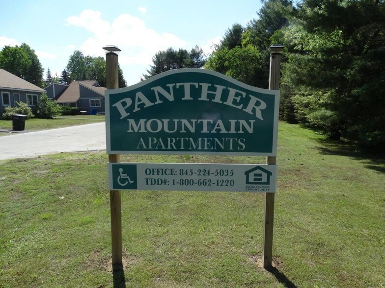 More Photos Of 61 Panther Mountain Dr, Chestertown Apartments For Sale