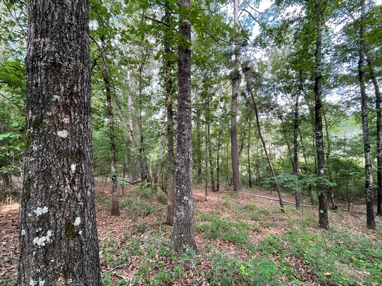 More Photos Of 229 Colbert Bridge Road, Windsor Land For Sale