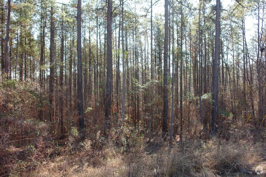 More Photos Of 7310 Nursery Rd, Columbia Land For Sale